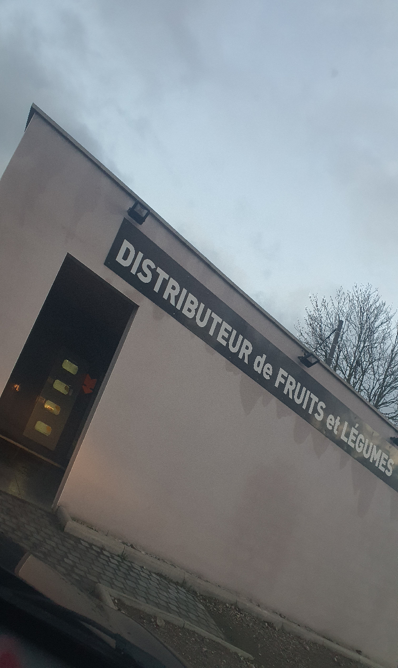 Dismatix - VEGETABLE.title (Gonnehem, France)